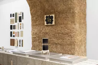 Regenerative future, vue d'exposition
